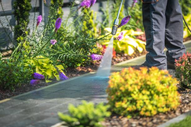 Best Boat and Dock Cleaning  in Messiah College, PA